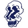 Elements Skulls logo template 95