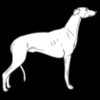 Greyhound01NC2bw