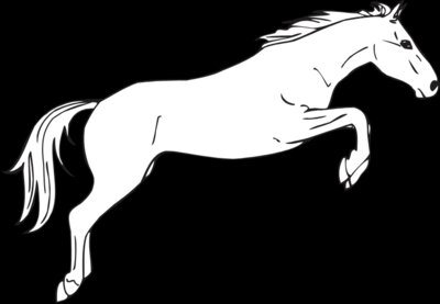 HORSE12
