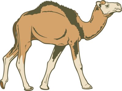 Camel02NC2clr