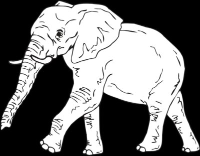 ELEPHAN4