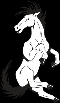 HORSE5