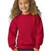 Youth EcoSmart® Crewneck Sweatshirt