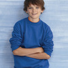 Youth Heavy Blend™ Crewneck Sweatshirt