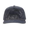 Walleye Nature Scene Cap