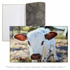 Sublimation Dornier Rug