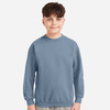 Youth Softstyle® Midweight Crewneck Sweatshirt