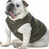 Doggie Tank