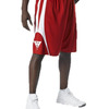Men's Reversible Basketball Shorts